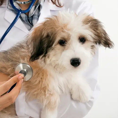 Urgent Care