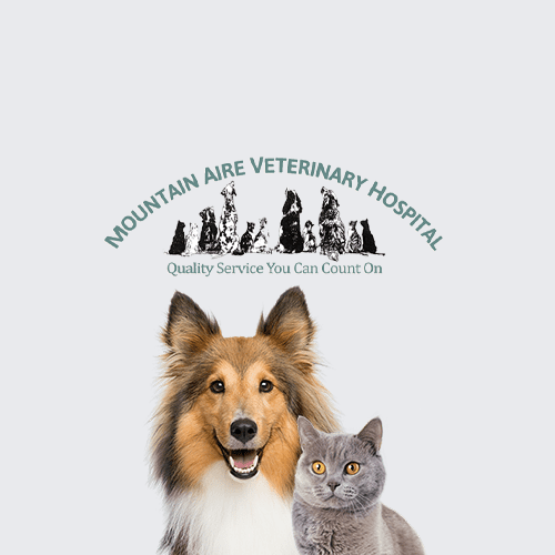 Mountain Aire Veterinary Hospital cover